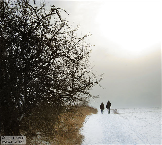 Vinterpromenad - Canon PS S95
