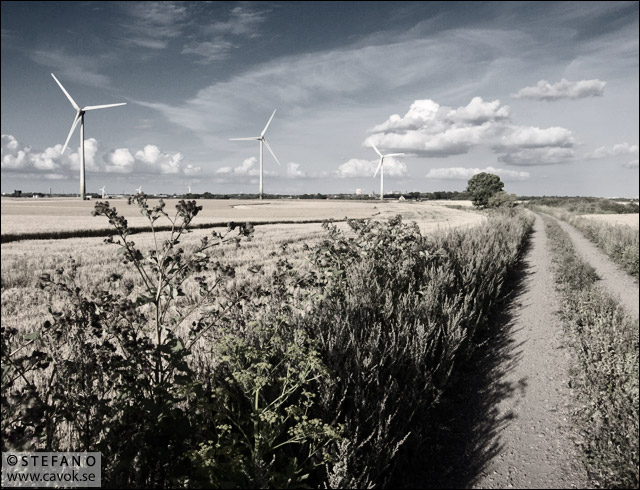 Anna, Bella och Clara