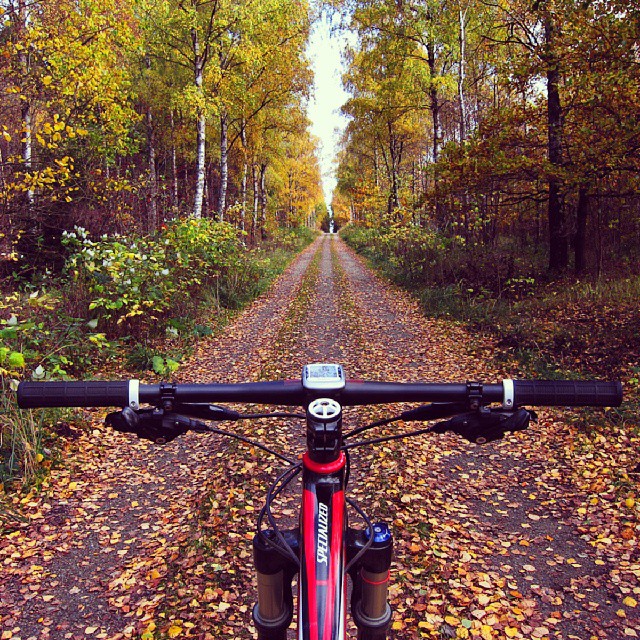mountainbike-instagram