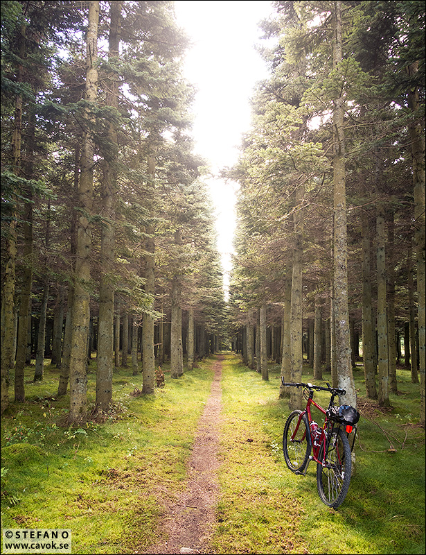 Varje dag är ett litet äventyr