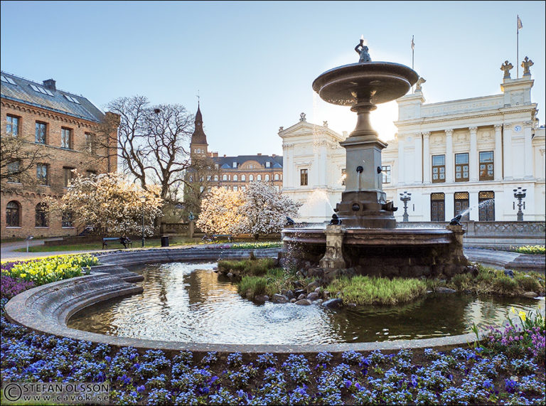 Det grönskar och blommar i Lundagård | Bildbloggen