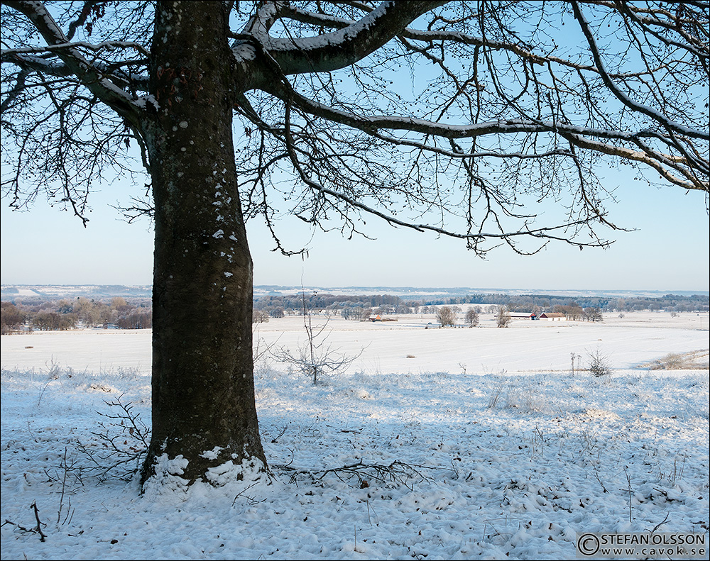 Utsikt från Hällestadsåsen på vintern