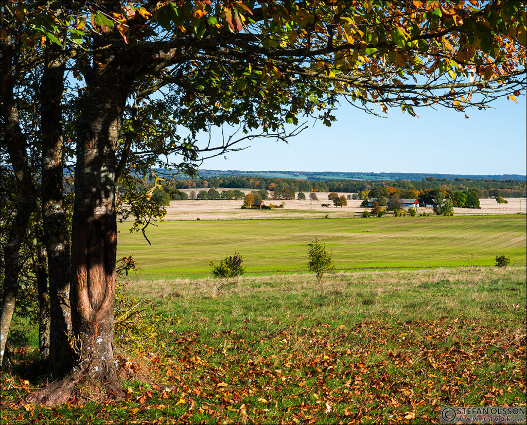 Utsikt från Hällestadsåsen