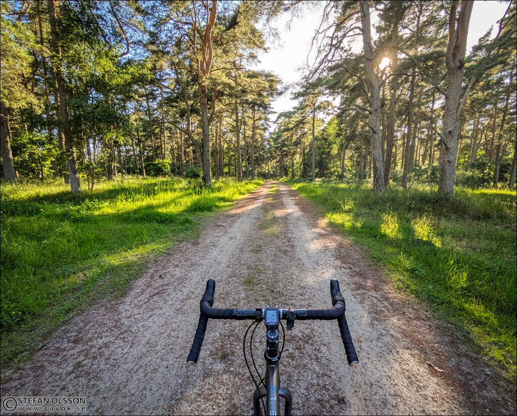Cykel Revingehed